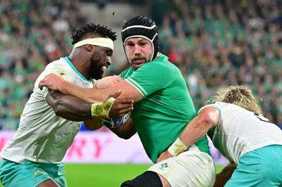 Springbok fans can watch Ireland series from R350 a ticket
