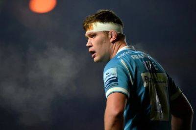 Jake White - Jasper Wiese - Former Stormers lock Cobus Wiese to join Bulls from Sale - news24.com - Britain - South Africa