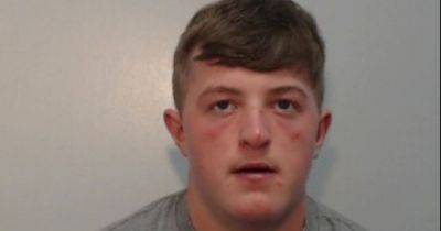 Speeding driver, 21, who ploughed into funfair after being chased by police