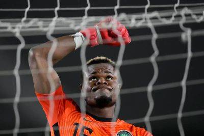 Francis Uzoho - Jose Peseiro - Stanley Nwabili: The safe hands behind Nigeria's run to the Africa Cup of Nations final - thenationalnews.com - Qatar - Mexico - South Africa - Tunisia - Ghana - county Eagle - Ivory Coast - Nigeria
