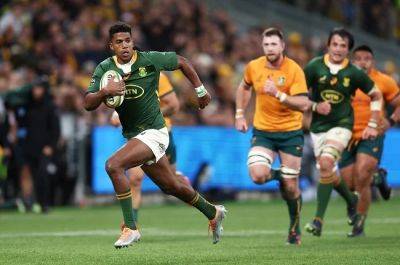 Venues confirmed for Springboks' two Tests against Wallabies Down Under
