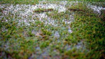 Pitch inspections set for Tallaght and Dalymount Park