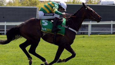 Nicky Henderson - Cheltenham Festival - Jonbon out of Champion Chase due to health concerns - rte.ie