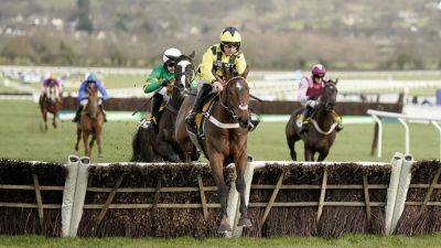 Nicky Henderson - Cheltenham Festival - Triumph Hurdle favourite Sir Gino ruled out by trainer Nicky Henderson - rte.ie