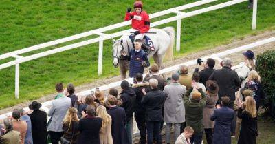 Cheltenham live: Grey Dawning sees off Ginny’s Destiny for Turners prize