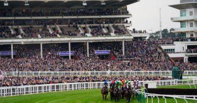 Cheltenham - Cheltenham Festival - Cheltenham Festival goer suffers serious head injuries during assault - breakingnews.ie - county Bristol