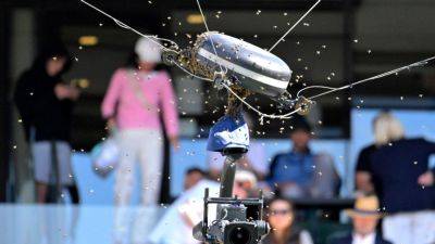 Bees swarm court and force long delay during Alcaraz-Zverev match - ESPN
