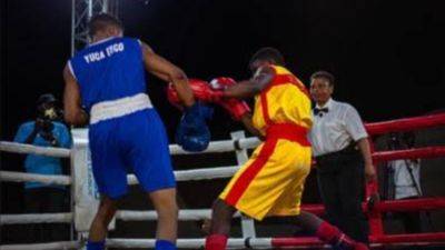 Egypt, Ghana, six others to feature in Yucateco Boxing League Season 11