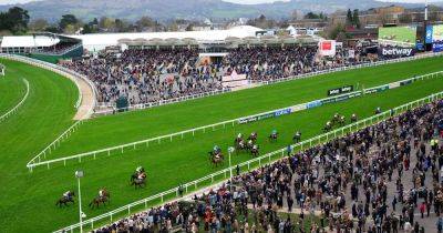 Cheltenham Gold Cup LIVE results as Fastorslow and Gerri Colombe challenge Galopin Des Champs