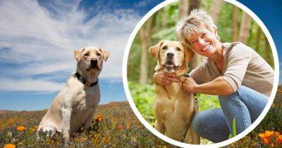 Is your dog getting the nutrition they deserve? - manchestereveningnews.co.uk - Britain - county Norfolk