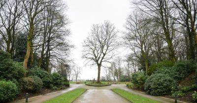 Two boys, 16, released on bail after reported rape in Bolton park