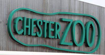 Chester Zoo traffic chaos as people forced to turn around due to 'horrendous' queues