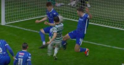 Paulo Bernardo - St Johnstone - Dermot Gallagher - International - Why Celtic penalty for handball was NOT given as Dermot Gallagher makes a TV appeal for 'common sense' - dailyrecord.co.uk - Britain - Scotland - Japan - county Graham