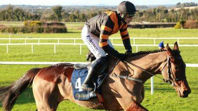 Willie Mullins ready to launch rested Nick Rockett in Irish Grand National