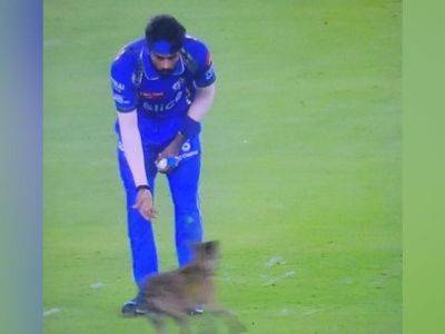 Rohit Sharma - Hardik Pandya - Gujarat Titans - Sai Sudharsan - Gerald Coetzee - Shubman Gill - Watch: Dog Invades Pitch During IPL 2024 Game In Ahmedabad. Internet In Splits - sports.ndtv.com - India