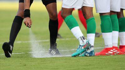 NFF suspends referee for wrong calls in Katsina-Abia Warriors’ game - guardian.ng - Nigeria