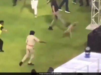 Dog 'Chased, Kicked, Punched' During GT vs MI IPL Game, Incident Draws Sharp Criticism From Activists
