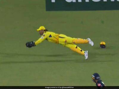 Watch: MS Dhoni Turns Back The Clock, Takes 0.6 Secs To Take Stunning Catch