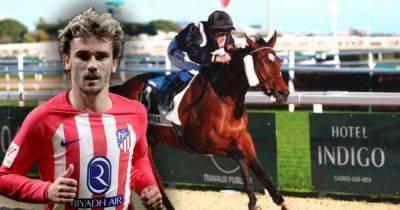 Antoine Griezmann horse Hooking is Newcastle nap for top tipster Garry Owen