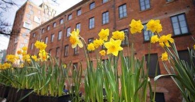 Easter Sunday - Bank Holiday weekend weather forecast for Greater Manchester in full - manchestereveningnews.co.uk