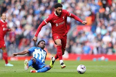 Salah caps fightback as Liverpool go top of Premier League