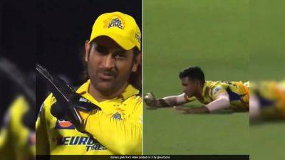 Watch: MS Dhoni Can't Help But Applaud CSK Star's Flying Catch Of David Warner In IPL 2024 Match