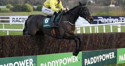 Supreme Novices' Hurdle winner Marine Nationale ruled out of Cheltenham Festival with injury - dailyrecord.co.uk