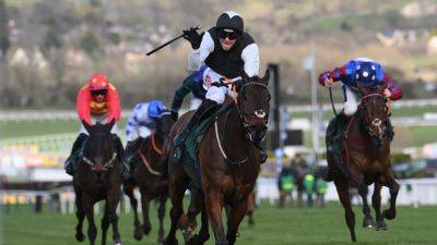 Gavin Cromwell minded to let Flooring Porter flow again in Stayers' Hurdle at the Cheltenham Festival