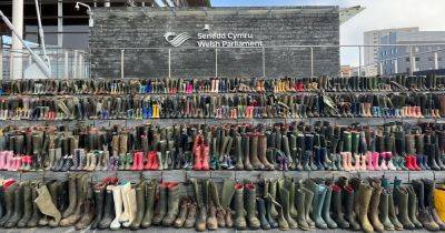 Live updates as farmers put thousands of pairs of empty wellies on steps of the Senedd