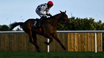 Supreme Novices' Hurdle field dominated by Willie Mullins
