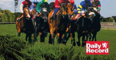 Celebrate Cheltenham with incredible coverage and reader offers inside your Daily Record