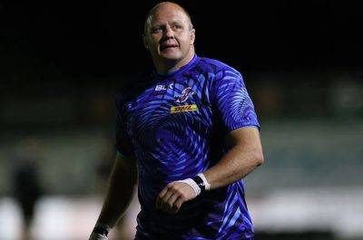 Warrick Gelant - John Dobson - Willie Engelbrecht - Bok-less Stormers name strong squad for trip to England log leaders, Harris captains - news24.com - Britain
