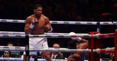 Anthony Joshua vs Tyson Fury timeline set after brutal Francis Ngannou knockout