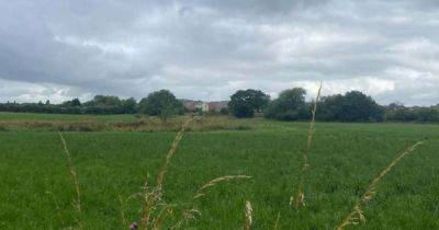 Kevin Anderson - Controversial 236 home farmland development could be given permission - manchestereveningnews.co.uk