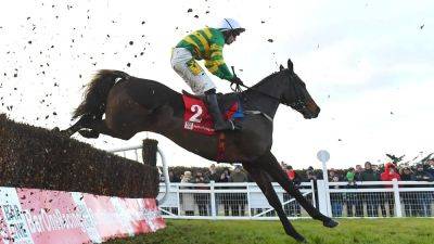 26 Irish horses out of 34 in Grand National final field