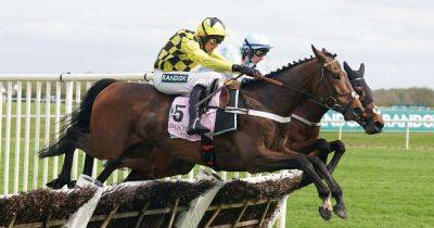 Grand National 2024: Pick a random horse with our gadget - manchestereveningnews.co.uk
