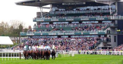 First horse dies at Grand National 2024 after fall during Ladies Day - manchestereveningnews.co.uk - county Brown