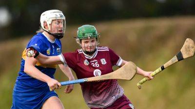 Very Camogie League finals: All you need to know