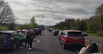 Live updates as one lane re-opens after crash saw all traffic halted and drivers step out of cars on major Welsh route