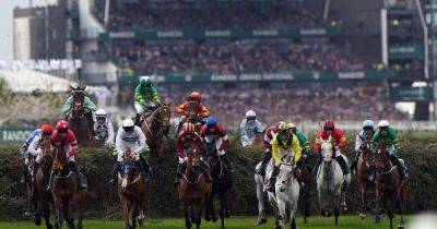 Paul Townend - Williams - Grand National 2024 full results, finishers and places as I Am Maximus wins famous Aintree race - manchestereveningnews.co.uk