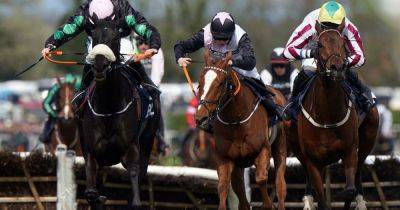 Grand National 2024 horses that fell and didn't finish