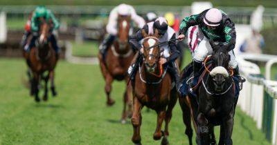 How many horses died at the Grand National 2024? - manchestereveningnews.co.uk