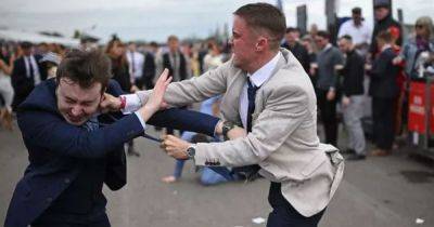 Violence at Grand National as racegoers are left stunned by fighting