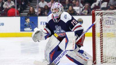 AHL Goalie Louis Domingue Scores Goal To Seal A Playoff Berth - foxnews.com - New York - Hartford