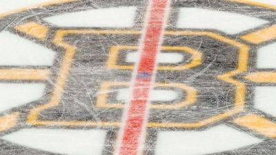 Linus Ullmark - Bruins' Kevin Shattenkirk fined for unsportsmanlike conduct - ESPN - espn.com