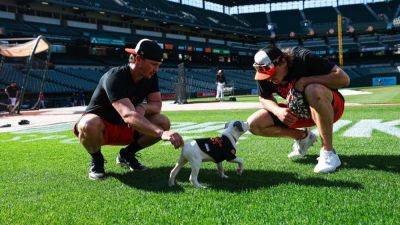 Baltimore Orioles host 'Bark at the Park' night - ESPN - espn.com - state Minnesota