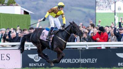 Punchestown Festival: Willie Mullins stable tour