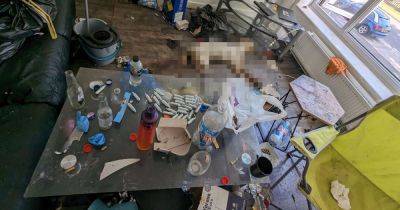 Inside the filthy flat of horrors where an XL Bully was heartlessly left to die