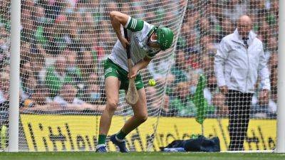 Ever-present Nickie Quaid stands between Limerick and the Clare and present danger