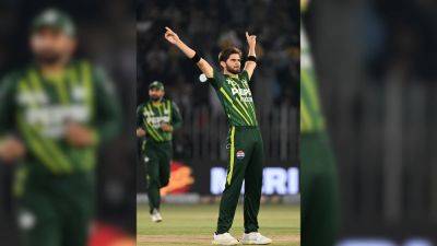 Shaheen Afridi - Shaheen Shah Afridi - Mohammad Rizwan - Shaheen Afridi Calls This Pakistan Star 'Bradman Of T20', Gets Roasted - sports.ndtv.com - New Zealand - Pakistan